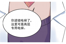 青川融资清欠服务